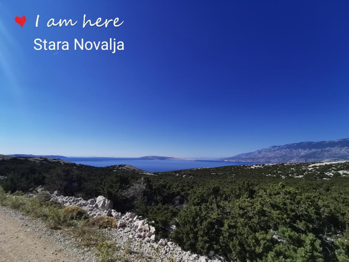Apartment Tinateo, Gajac Novalja Dış mekan fotoğraf