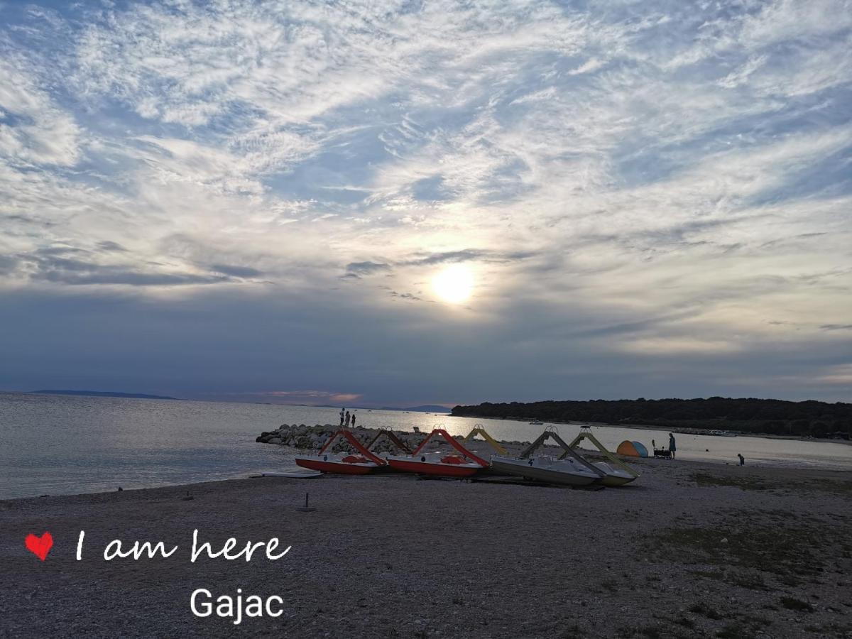 Apartment Tinateo, Gajac Novalja Dış mekan fotoğraf